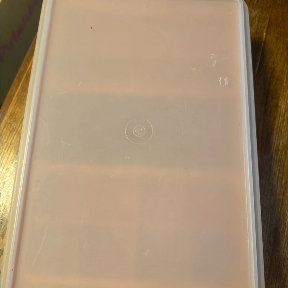 Tupperware Orange Food Storage Tray with Multiple Compartments